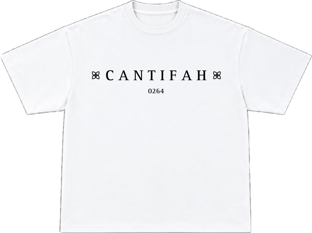 0264 Oversized T-shirt