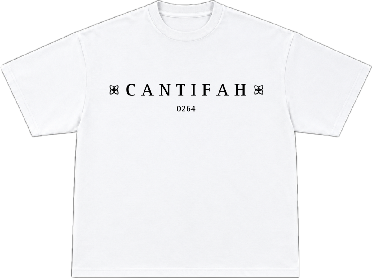0264 Oversized T-shirt